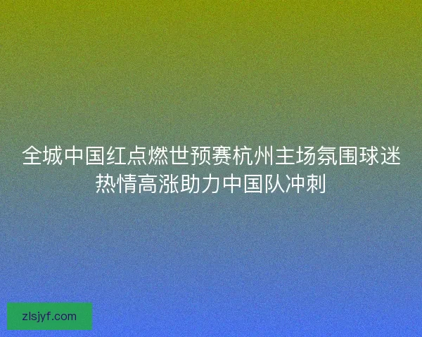 全城中国红点燃世预赛杭州主场氛围球迷热情高涨助力中国队冲刺